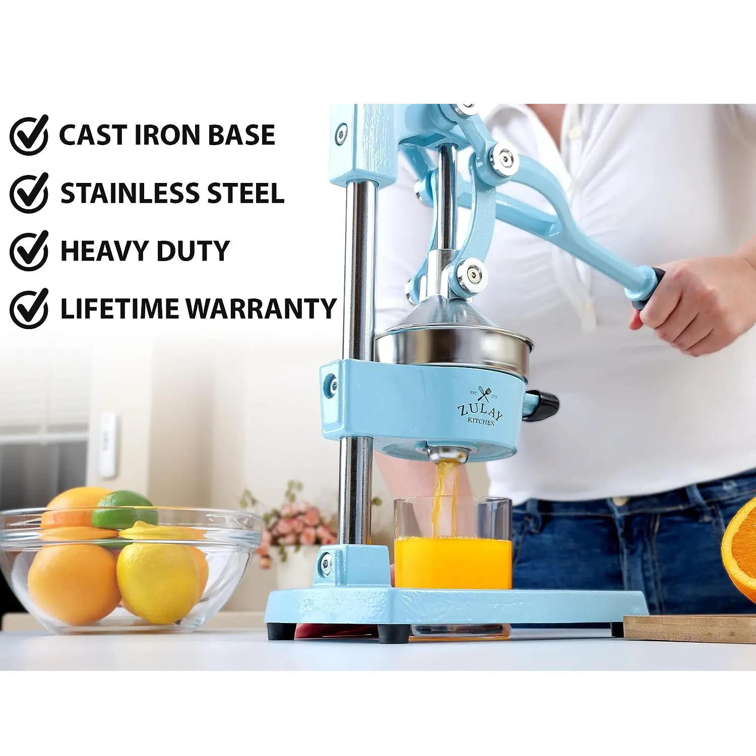 Professional Heavy Duty Citrus Juicer