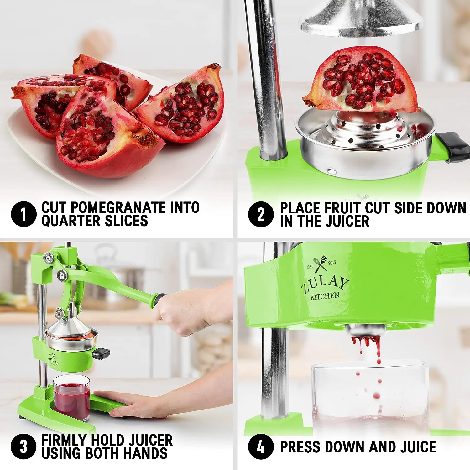 Professional Heavy Duty Citrus Juicer