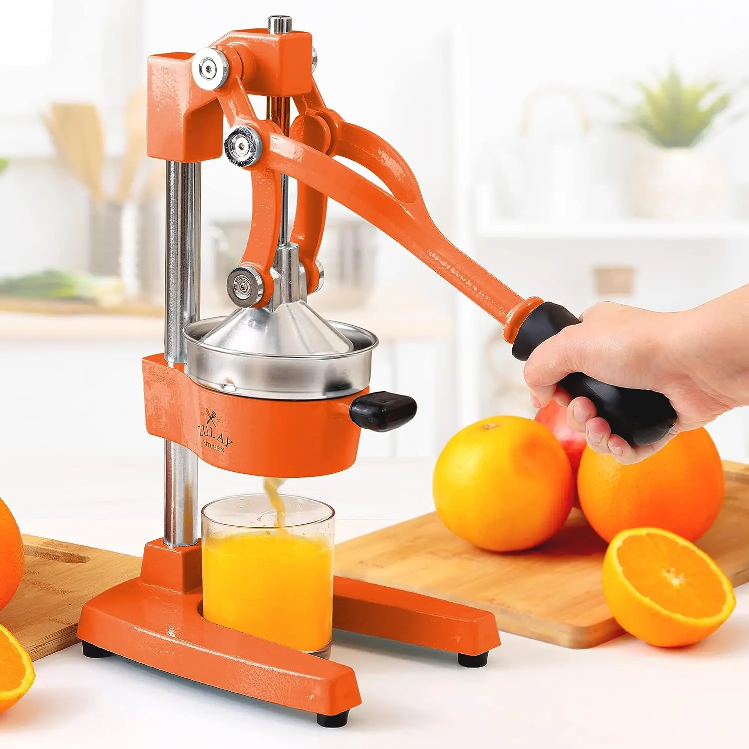 Professional Heavy Duty Citrus Juicer