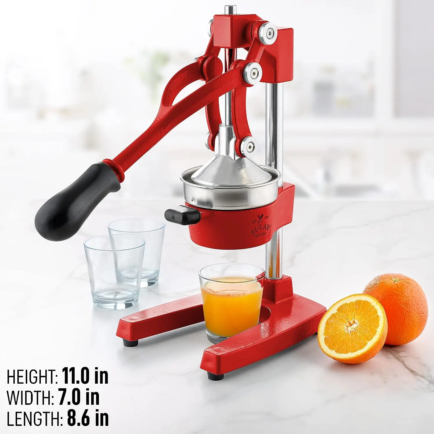 Professional Heavy Duty Citrus Juicer