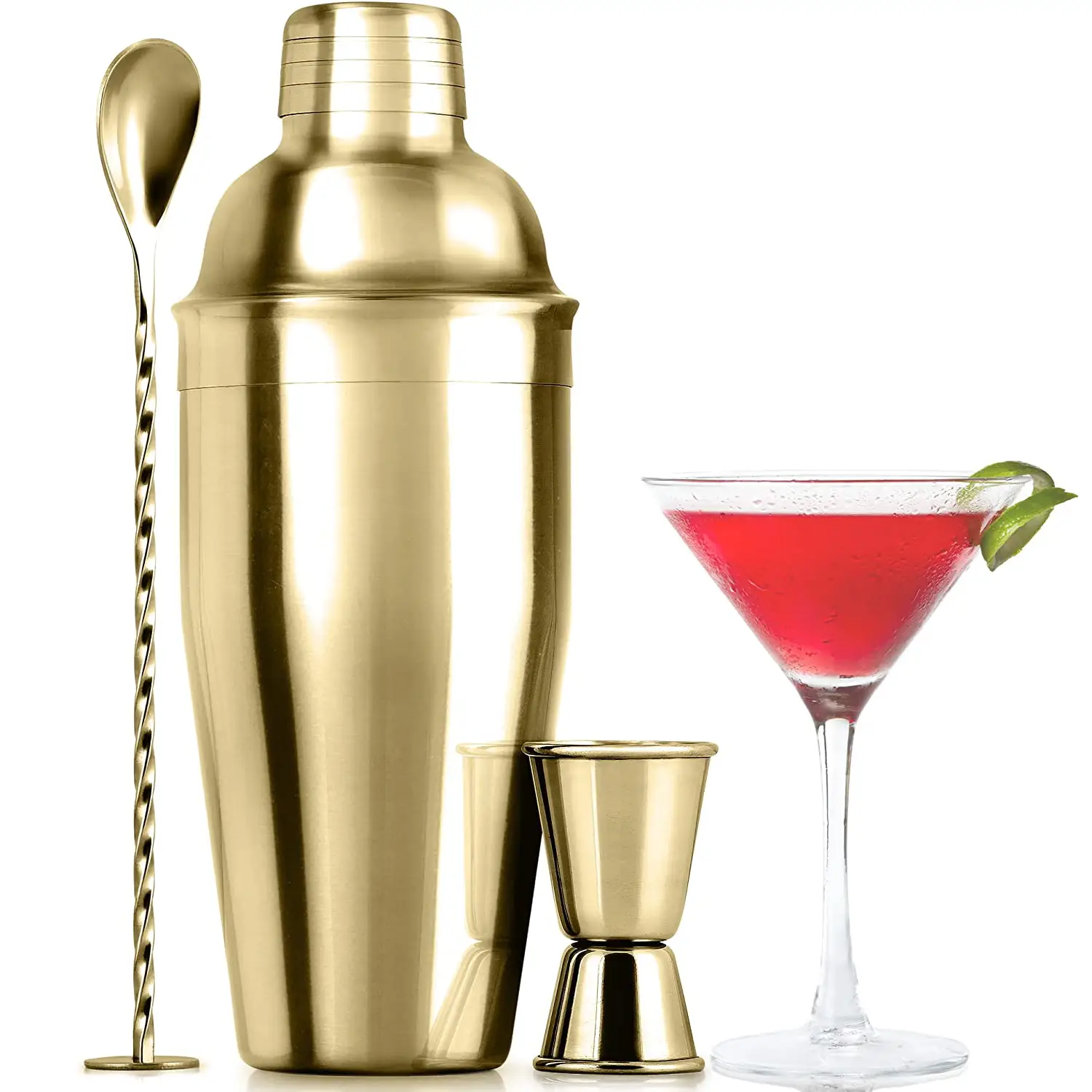 Professional Cocktail Shaker Set