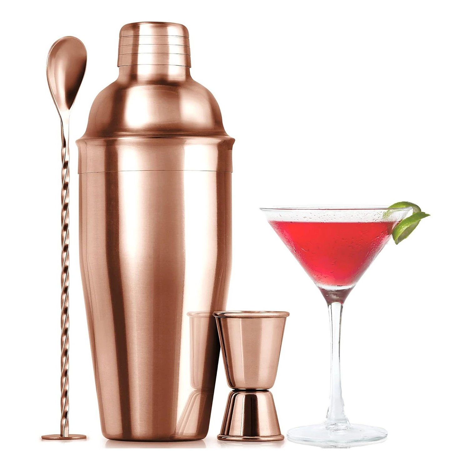 Professional Cocktail Shaker Set